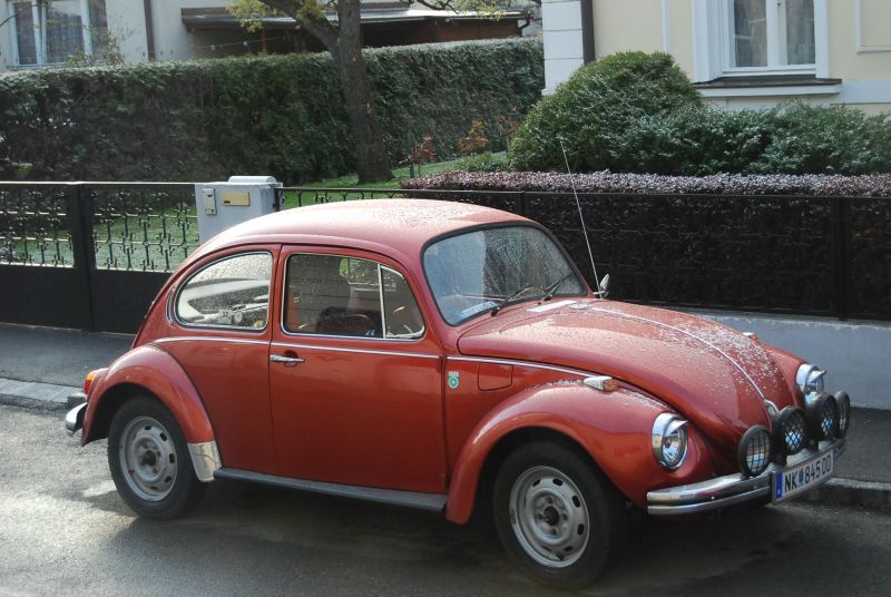 vw_kaefer_1302_01.jpg